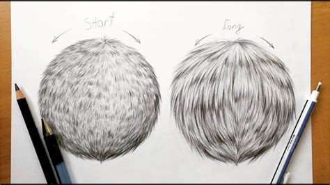 How To Sketch Fur